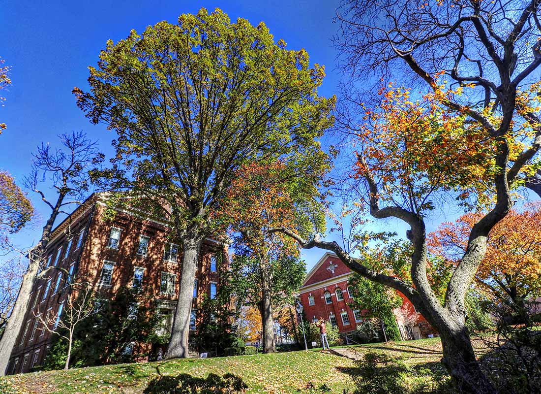About Us - View of College Campus Buildings with Tall Trees in the Front Against a Clear Blue Sky in the Late Fall in the Lehigh Valley