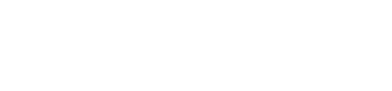 Lehigh Captive Advisors - Logo 800 White